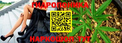 прущая мука Кимры